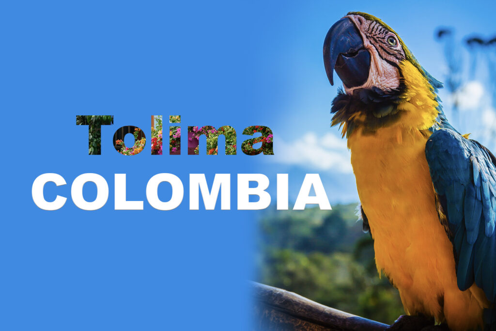 Tolima - Colombia